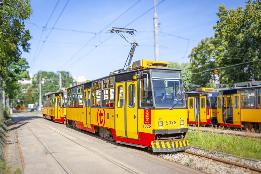 WS20240627 TW ZAJEZDNIA WOLA 1 male 14 (1)